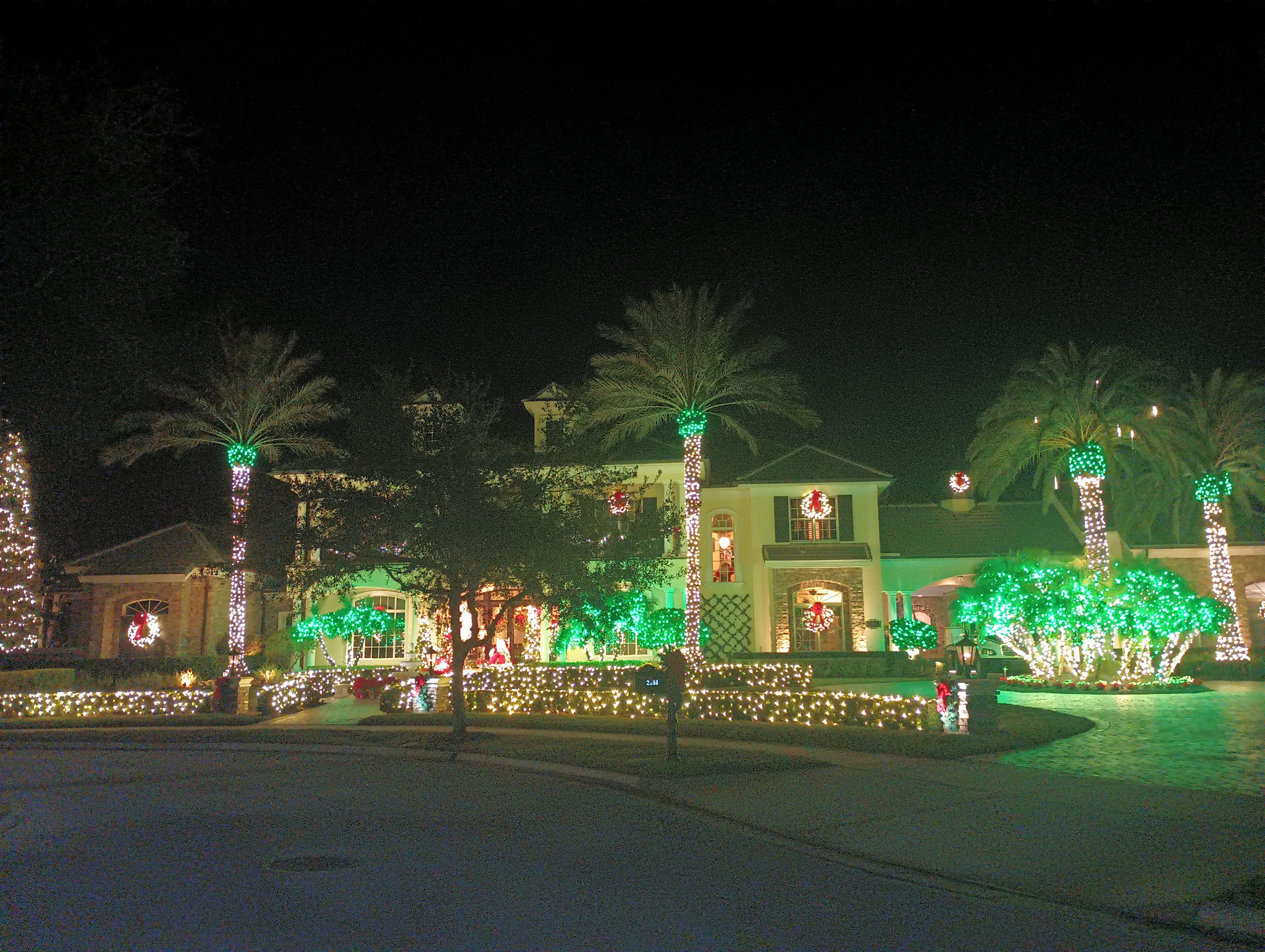 Florida property framed by palms wrapped in white and green holiday lights