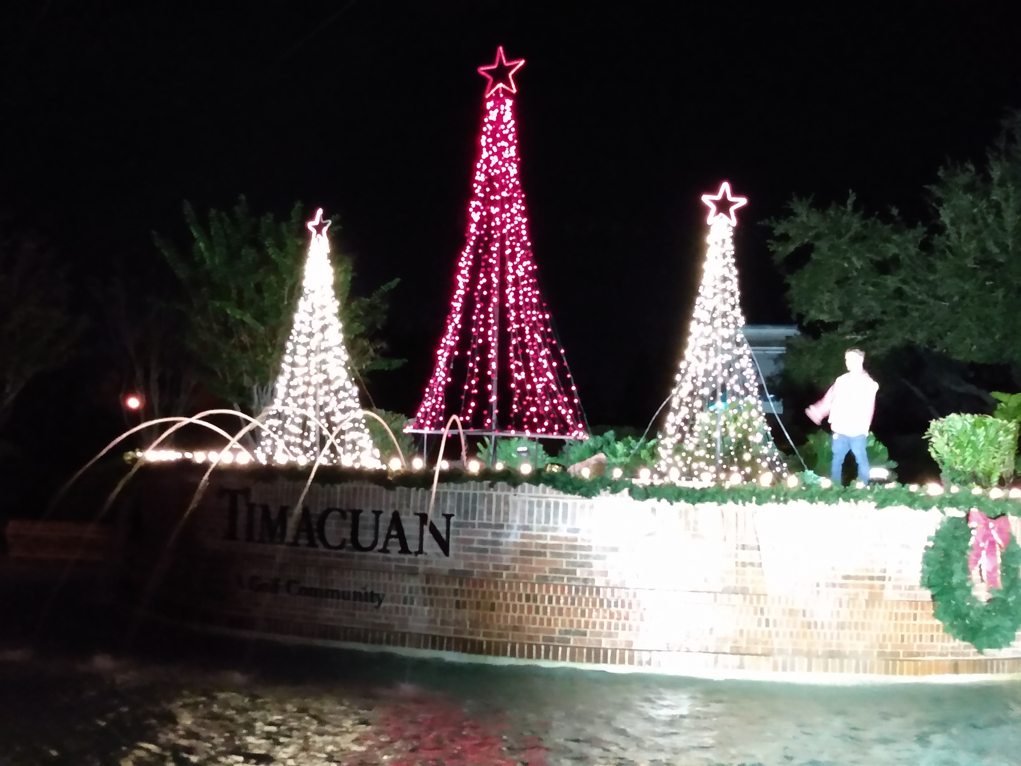 Large outdoor cone-shaped Christmas tree illuminated at night